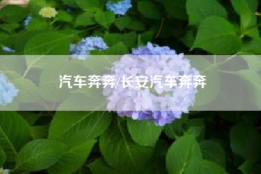 汽车奔奔/长安汽车奔奔 汽车奔奔/长安汽车奔奔