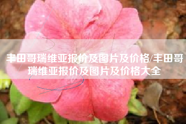 丰田哥瑞维亚报价及图片及价格/丰田哥瑞维亚报价及图片及价格大全 丰田哥瑞维亚报价及图片及价格/丰田哥瑞维亚报价及图片及价格大全