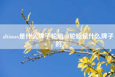 altimax是什么牌子轮胎/al轮胎是什么牌子的