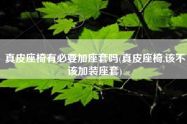 真皮座椅有必要加座套吗(真皮座椅,该不该加装座套)