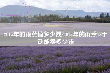 2015年的雨燕值多少钱/2015年的雨燕15手动能卖多少钱