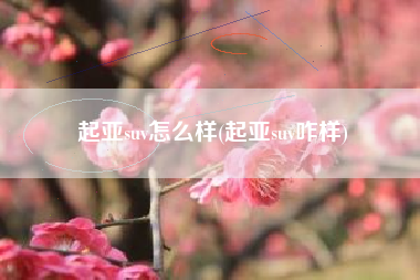 起亚suv怎么样(起亚suv咋样)