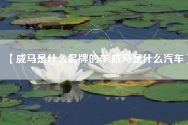 【威马是什么品牌的车,威马是什么汽车】