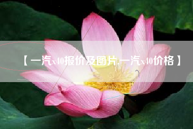 【一汽x40报价及图片,一汽x40价格】