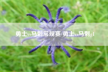 勇士vs马刺常规赛/勇士vs马刺g1