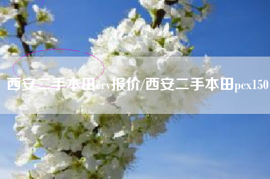 西安二手本田crv报价/西安二手本田pcx150 西安二手本田crv报价/西安二手本田pcx150