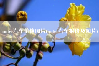 smter汽车价格图片(smter汽车报价及图片) smter汽车价格图片(smter汽车报价及图片)