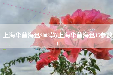 上海华普海迅2008款(上海华普海迅15参数) 上海华普海迅2008款(上海华普海迅15参数)