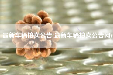 最新车辆拍卖公告(最新车辆拍卖公告网)