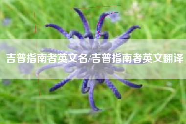 吉普指南者英文名/吉普指南者英文翻译 吉普指南者英文名/吉普指南者英文翻译