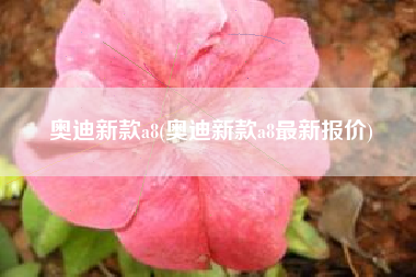 奥迪新款a8(奥迪新款a8最新报价)