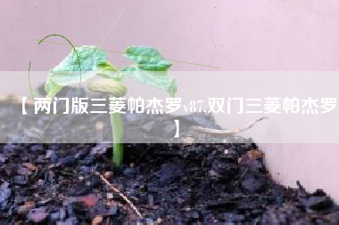 【两门版三菱帕杰罗v87,双门三菱帕杰罗】
