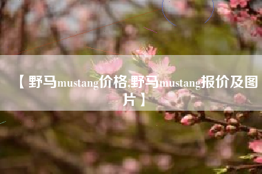 【野马mustang价格,野马mustang报价及图片】