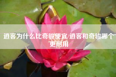 逍客为什么比奇骏便宜/逍客和奇骏哪个更耐用