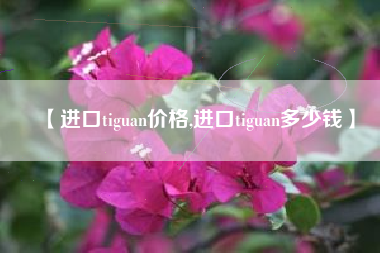 【进口tiguan价格,进口tiguan多少钱】 【进口tiguan价格,进口tiguan多少钱】