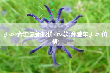 gle320奔驰最新报价2023款(奔驰车gle320价格)