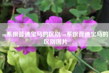m系跟普通宝马的区别/m系跟普通宝马的区别图片