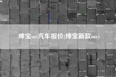 绅宝suv汽车报价(绅宝新款suv)