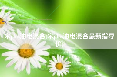 宋plus油电混合(宋plus油电混合最新指导价)
