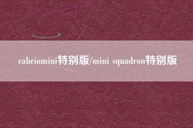 cabriomini特别版/mini squadron特别版