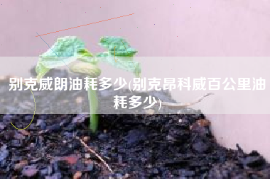 别克威朗油耗多少(别克昂科威百公里油耗多少)