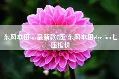 东风本田suv最新款7座/东风本田elyesion七座报价