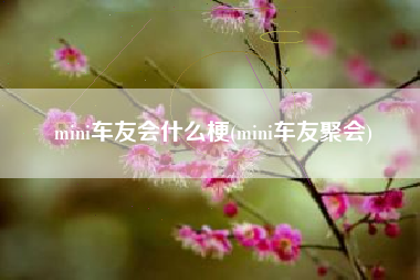 mini车友会什么梗(mini车友聚会) mini车友会什么梗(mini车友聚会)