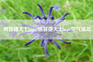 纳智捷大七mpv/纳智捷大七mpv空气滤芯 纳智捷大七mpv/纳智捷大七mpv空气滤芯