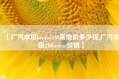 【广汽本田breeze240落地价多少钱,广汽本田240breeze价格】