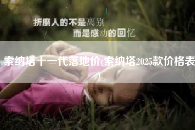 索纳塔十一代落地价(索纳塔2025款价格表) 索纳塔十一代落地价(索纳塔2025款价格表)