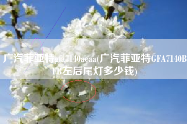广汽菲亚特gfa7140aeaa(广汽菲亚特GFA7140BFB左后尾灯多少钱)