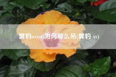 翼豹wrxsti为何那么吊(翼豹 xv)