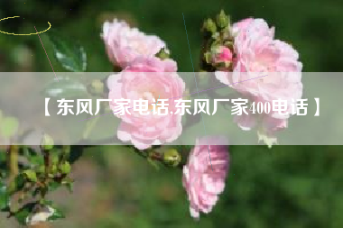 【东风厂家电话,东风厂家400电话】 【东风厂家电话,东风厂家400电话】