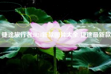 捷途旅行者2024新款图片大全/捷途最新款