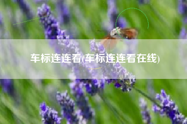 车标连连看(车标连连看在线) 车标连连看(车标连连看在线)