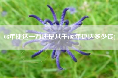 08年捷达一万还是八千(08年捷达多少钱)