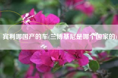 宾利哪国产的车(兰博基尼是哪个国家的)