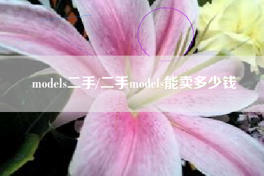 models二手/二手models能卖多少钱 models二手/二手models能卖多少钱