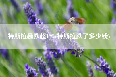 特斯拉暴跌超12%(特斯拉跌了多少钱) 特斯拉暴跌超12%(特斯拉跌了多少钱)