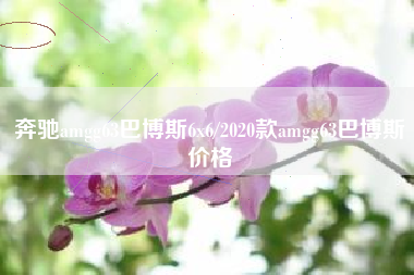 奔驰amgg63巴博斯6x6/2020款amgg63巴博斯价格 奔驰amgg63巴博斯6x6/2020款amgg63巴博斯价格