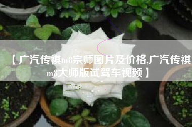 【广汽传祺m8宗师图片及价格,广汽传祺m8大师版试驾车视频】 【广汽传祺m8宗师图片及价格,广汽传祺m8大师版试驾车视频】