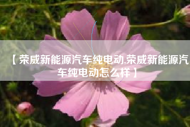 【荣威新能源汽车纯电动,荣威新能源汽车纯电动怎么样】