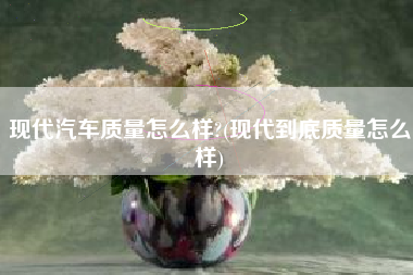 现代汽车质量怎么样?(现代到底质量怎么样) 现代汽车质量怎么样?(现代到底质量怎么样)