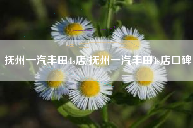 抚州一汽丰田4s店/抚州一汽丰田4s店口碑