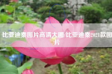 比亚迪秦图片高清大图/比亚迪秦2021款图片 比亚迪秦图片高清大图/比亚迪秦2021款图片