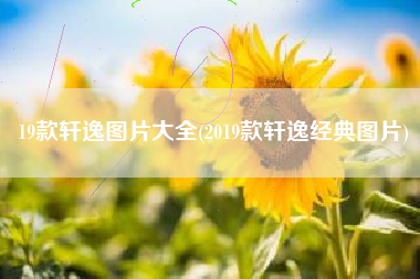 19款轩逸图片大全(2019款轩逸经典图片)