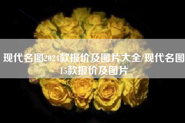 现代名图2024款报价及图片大全/现代名图15款报价及图片