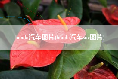 honda汽车图片(honda汽车suv图片) honda汽车图片(honda汽车suv图片)