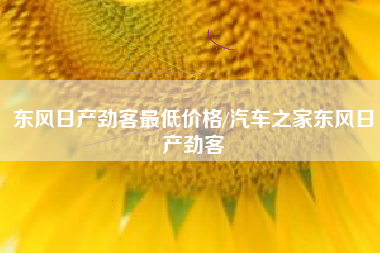 东风日产劲客最低价格/汽车之家东风日产劲客 东风日产劲客最低价格/汽车之家东风日产劲客