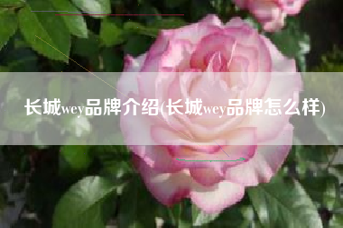 长城wey品牌介绍(长城wey品牌怎么样)